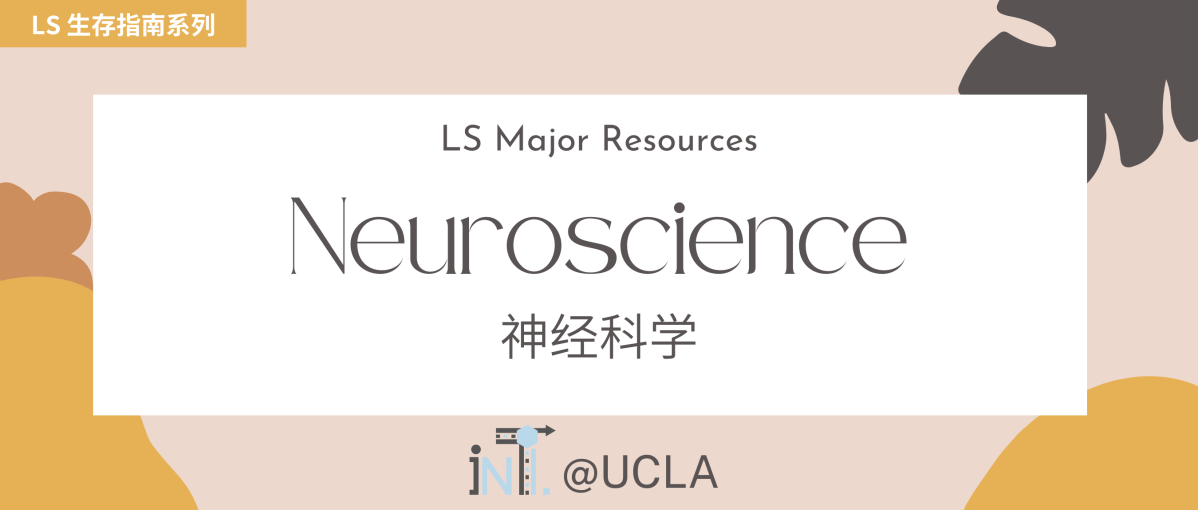 【LS 专业揭秘】 Neuroscience&nbsp;神经科学