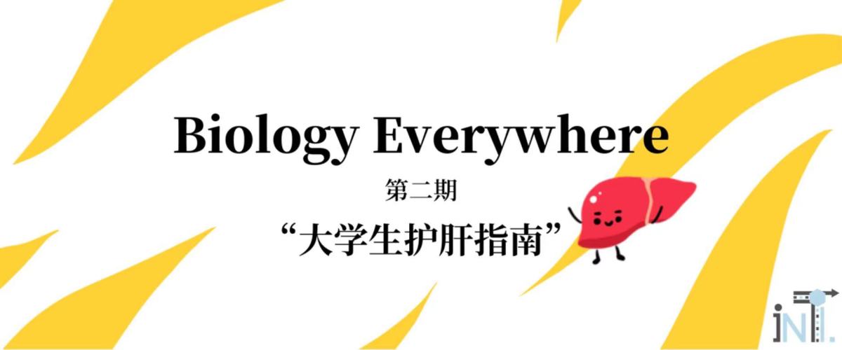 【Biology Everywhere】II –&nbsp;大学生护肝指南